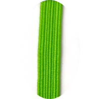 Light Green - EB011 elastic band color