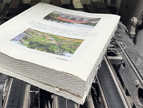 Printed signatures prepared for Smyth sewn softcover binding