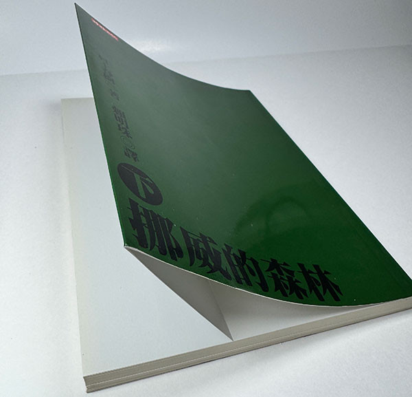 A paperback novel featuring a French flap cover