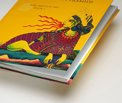 Displays the front cover of a hardcover book