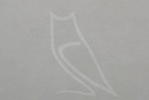 Sample of watermark