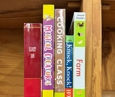 A couple of books on a bookshelf, with the book spines facing outward