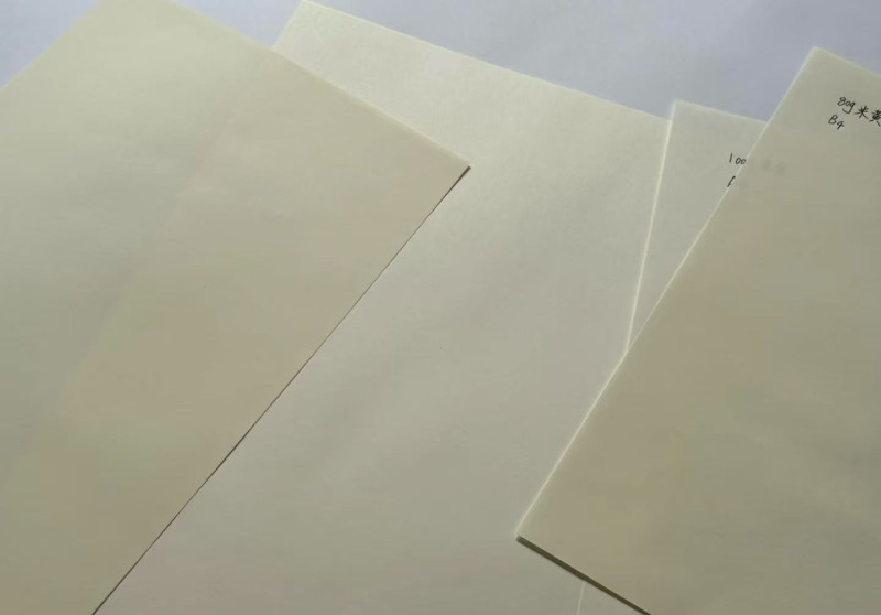 Dowling Paper Sample