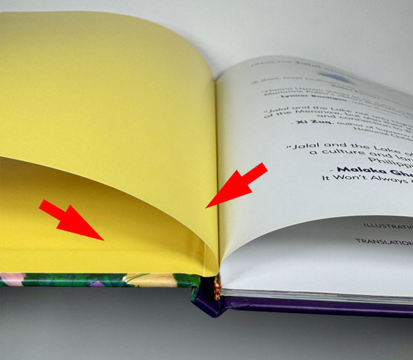 A yellow front endsheet in a children’s book