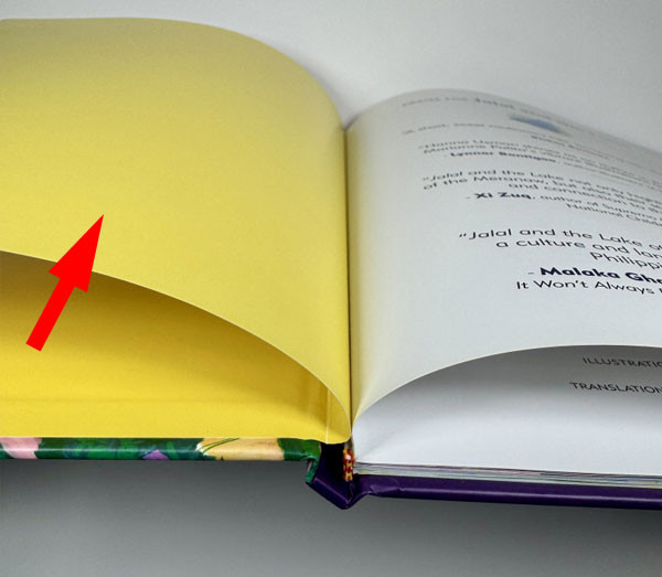 A red arrow pointing to the flyleaf, which is the right side of an endsheet
