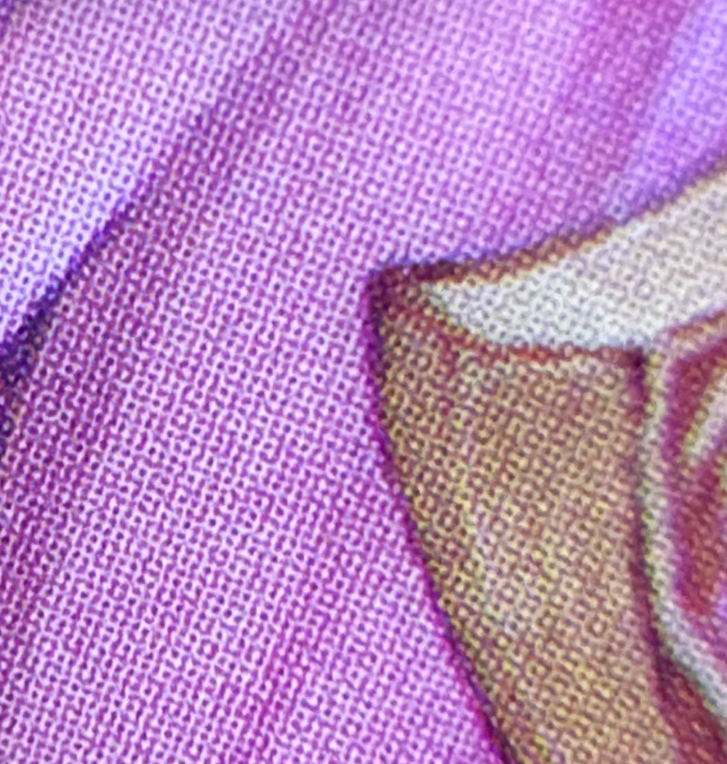 Close up of a halftone print