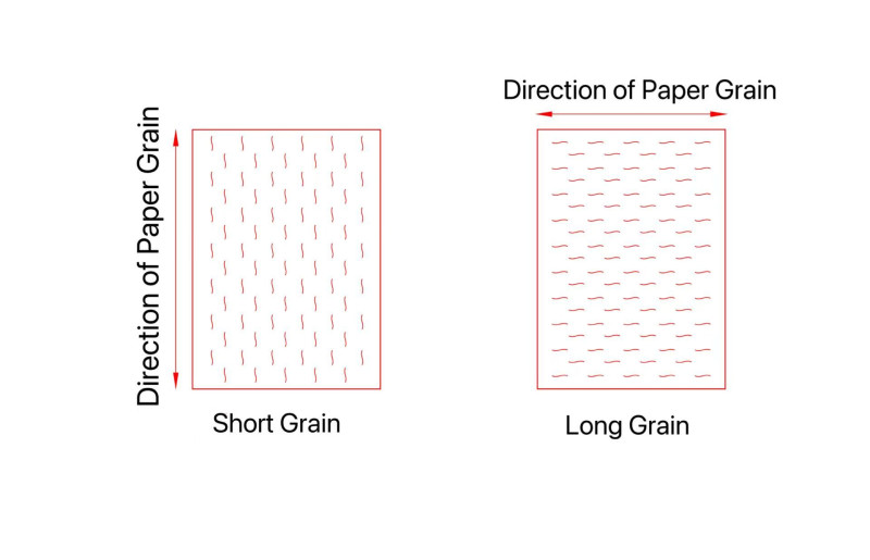 Differences between two types of paper grain