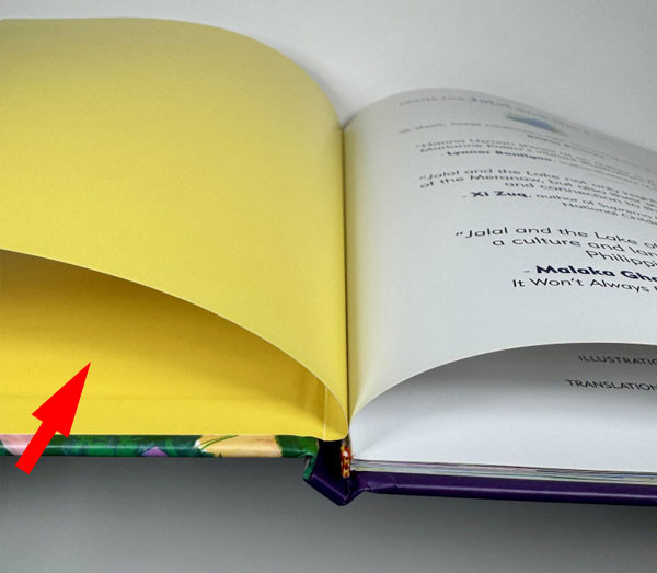 A red arrow pointing to the pastedown, which is the left side of an endsheet