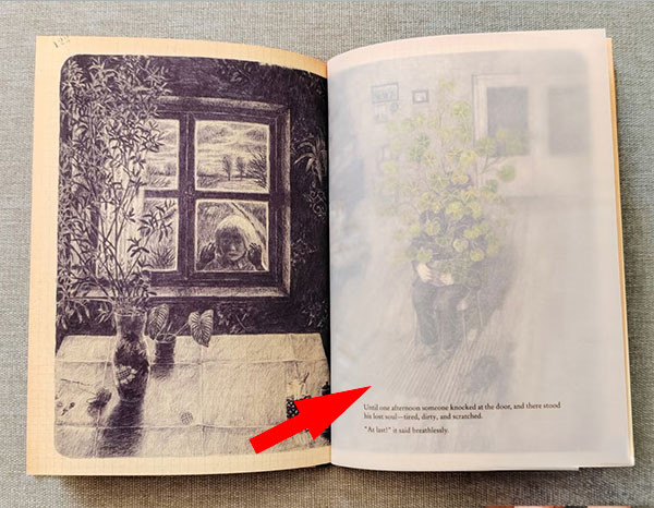 A vintage-style book featuring a tissue guard using semi-transparent glassine paper